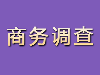 汝城商务调查